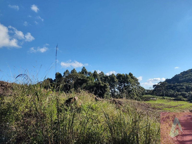 Área de 15,0 hectares de terras na zona rural de Sapiranga RS: 12ª foto da galeria de imagens do imóvel