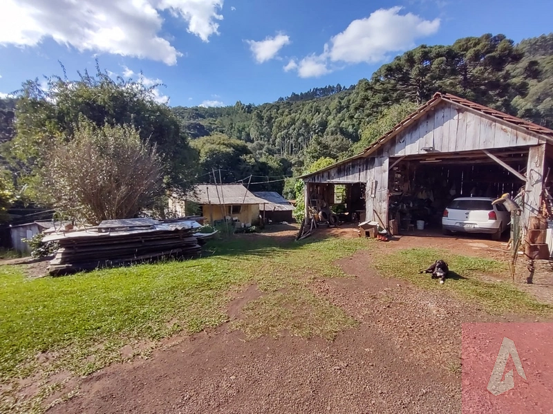 Área de 15,0 hectares de terras na zona rural de Sapiranga RS: 6ª foto da galeria de imagens do imóvel