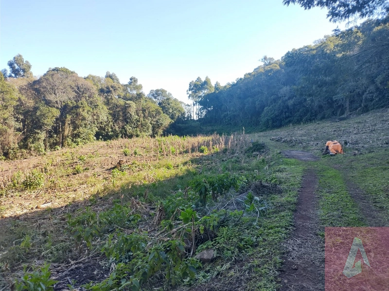 Área de 15,0 hectares de terras na zona rural de Sapiranga RS: 14ª foto da galeria de imagens do imóvel
