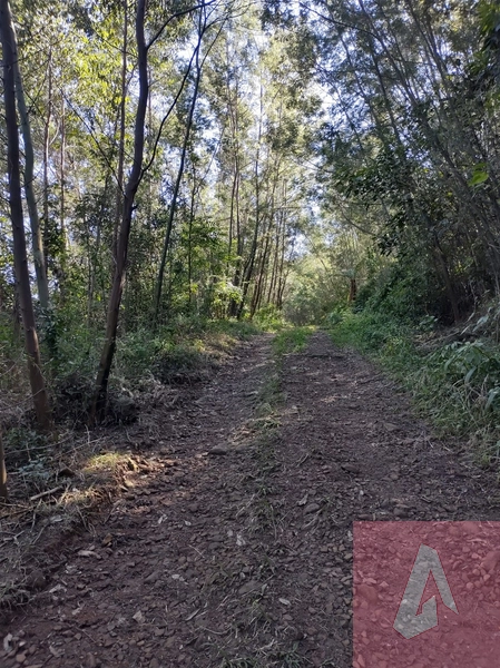 Área de 15,0 hectares de terras na zona rural de Sapiranga RS: 11ª foto da galeria de imagens do imóvel