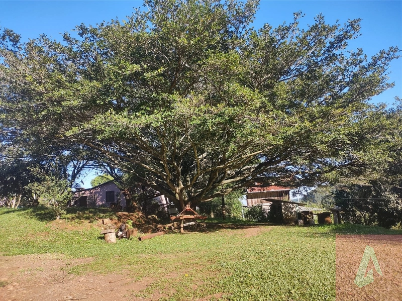 Área de 15,0 hectares de terras na zona rural de Sapiranga RS: 2ª foto da galeria de imagens do imóvel