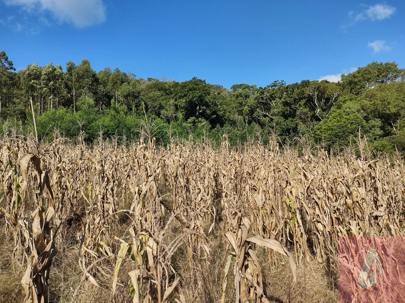 Área de 15,0 hectares de terras na zona rural de Sapiranga RS: 10ª foto da galeria de imagens do imóvel