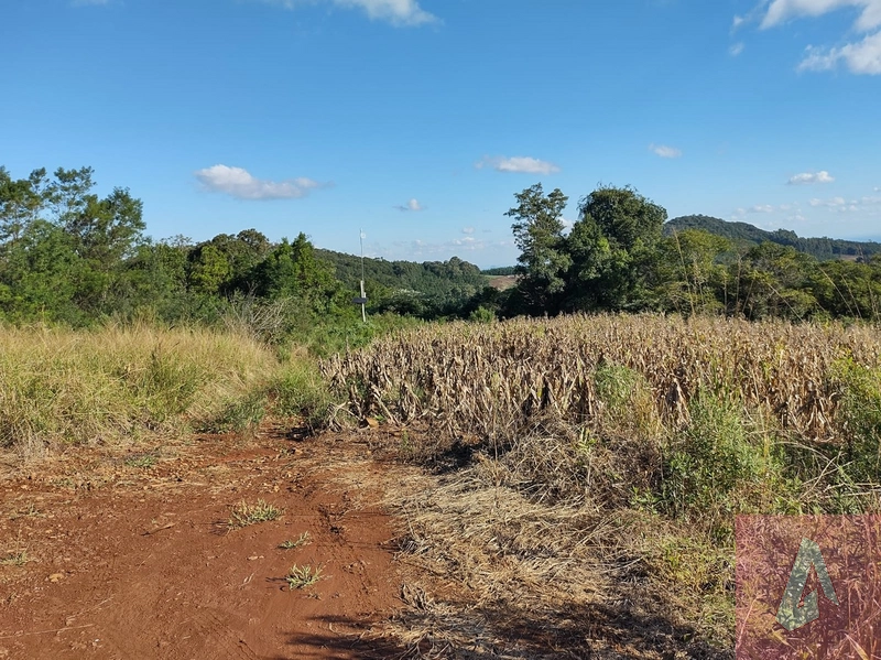 Área de 15,0 hectares de terras na zona rural de Sapiranga RS: 13ª foto da galeria de imagens do imóvel