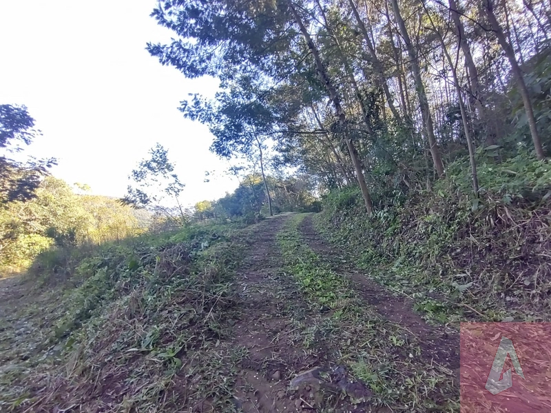 Área de 15,0 hectares de terras na zona rural de Sapiranga RS: 9ª foto da galeria de imagens do imóvel