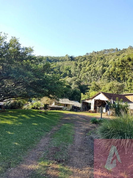 Área de 15,0 hectares de terras na zona rural de Sapiranga RS: 8ª foto da galeria de imagens do imóvel