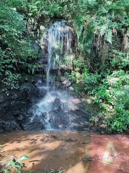 Área de 15,0 hectares de terras na zona rural de Sapiranga RS: 7ª foto da galeria de imagens do imóvel