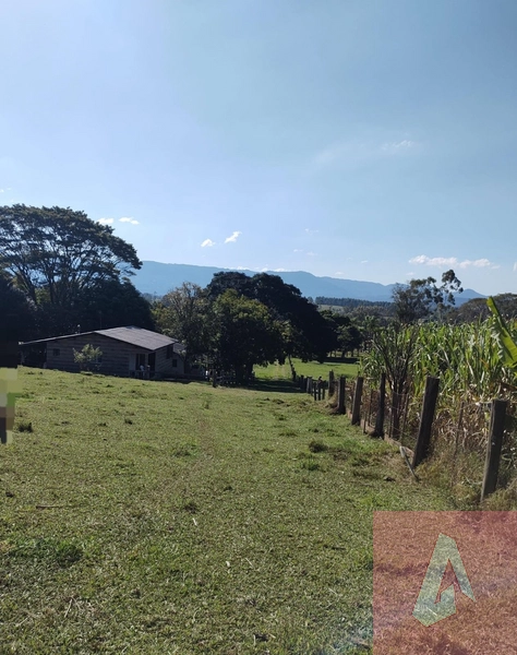 Chácara com 10.000 m² com ótima localização: 7ª foto da galeria de imagens do imóvel