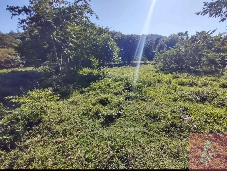 Chácara de 10.000m² com escritura: 5ª foto da galeria de imagens do imóvel