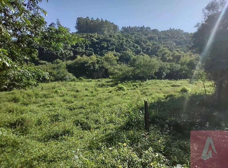 Chácara de 10.000m² com escritura: 4ª foto da galeria de imagens do imóvel