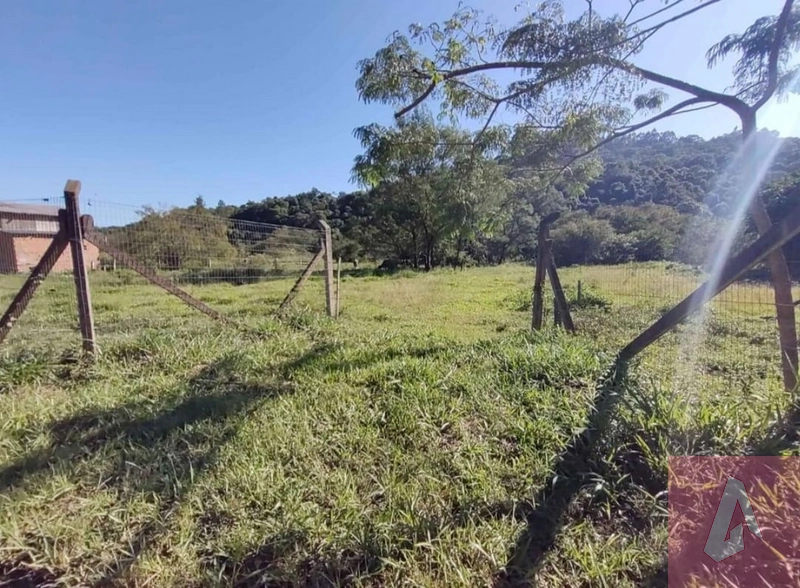 Chácara de 10.000m² com escritura: 2ª foto da galeria de imagens do imóvel