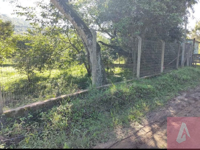 Chácara de 10.000m² com escritura: 6ª foto da galeria de imagens do imóvel