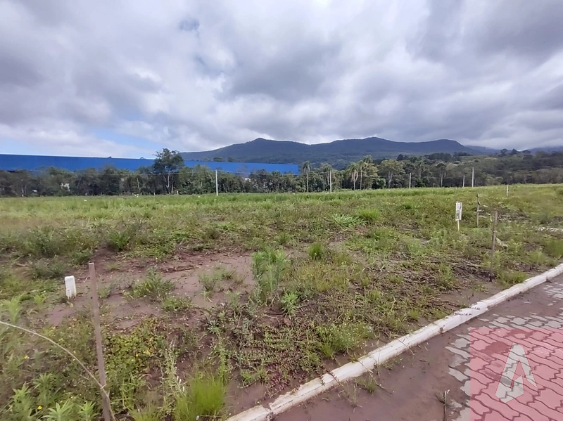 Terrenos: 2ª foto da galeria de imagens do imóvel