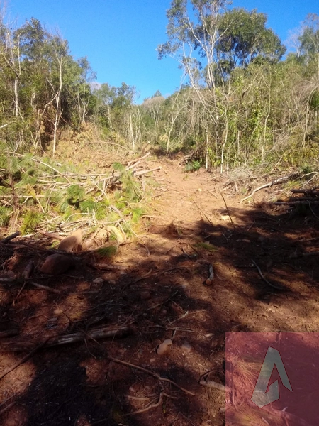Chácara no interior de Riozinho: 1ª foto da galeria de imagens do imóvel