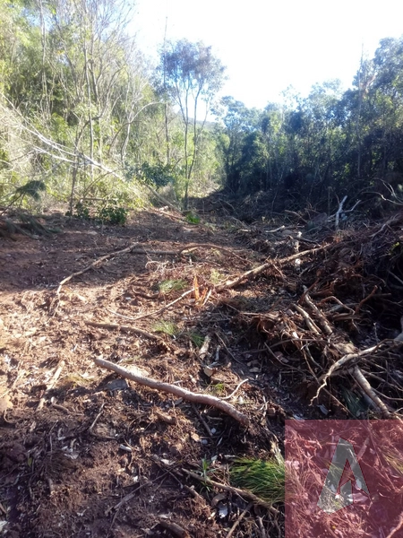 Chácara no interior de Riozinho: 4ª foto da galeria de imagens do imóvel