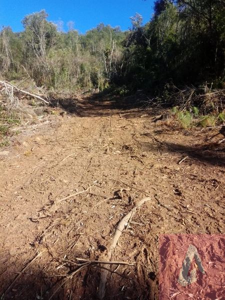 Chácara no interior de Riozinho: 5ª foto da galeria de imagens do imóvel