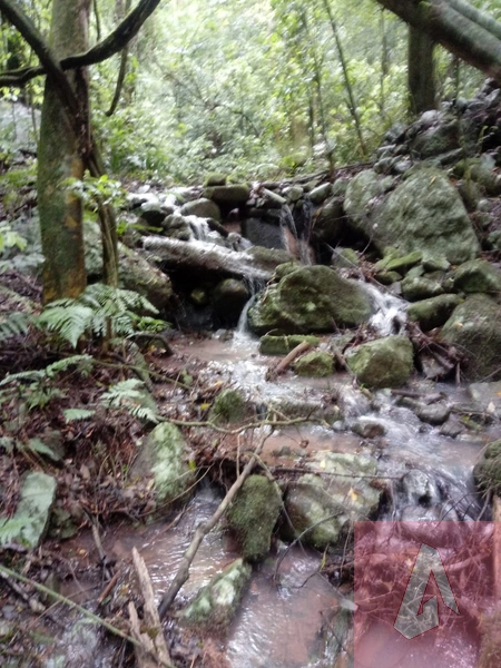 Chácara no interior de Riozinho: 3ª foto da galeria de imagens do imóvel
