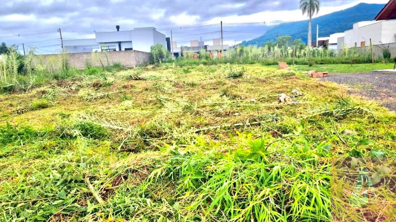 Terreno à venda em Araricá.: 1ª foto da galeria de imagens do imóvel