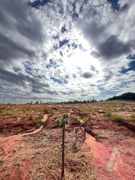 Terreno à venda em Sapiranga: 2ª foto da galeria de imagens do imóvel