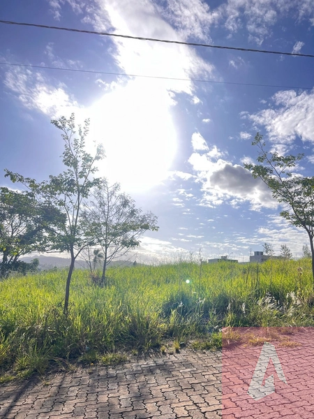 Terrenos à venda em Sapiranga: 1ª foto da galeria de imagens do imóvel