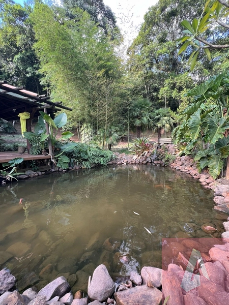 Chácara à venda em Sapiranga.: 3ª foto da galeria de imagens do imóvel