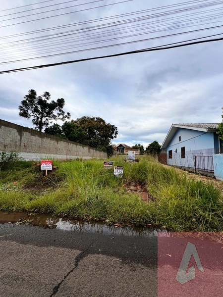 Terreno à venda em Sapiranga.: 1ª foto da galeria de imagens do imóvel