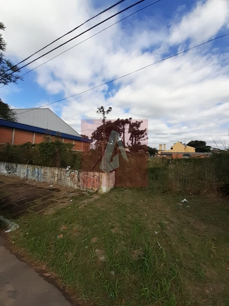 Terreno no centro da cidade!!: 4ª foto da galeria de imagens do imóvel