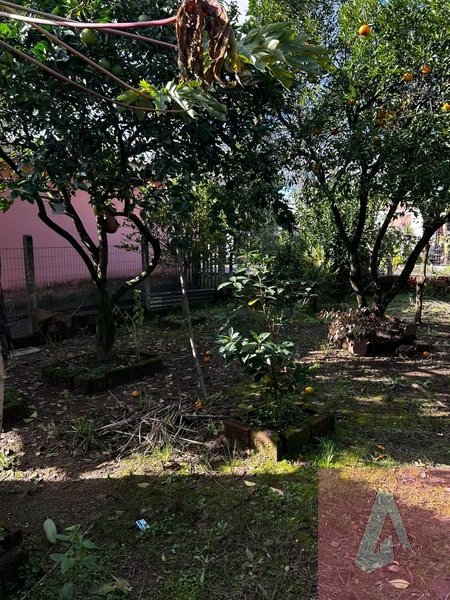 : 26ª foto da galeria de imagens do imóvel