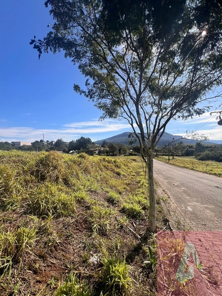 Lotes à venda em Sapiranga: 1ª foto da galeria de imagens do imóvel
