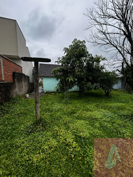 Casa no bairro Centenário: 17ª foto da galeria de imagens do imóvel