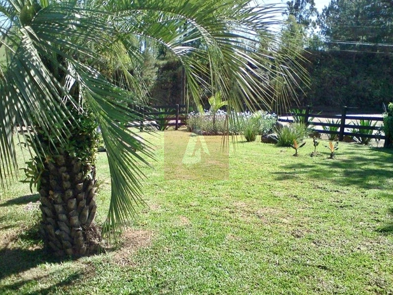 Propriedade Rural á venda em Sapiranga: 4ª foto da galeria de imagens do imóvel