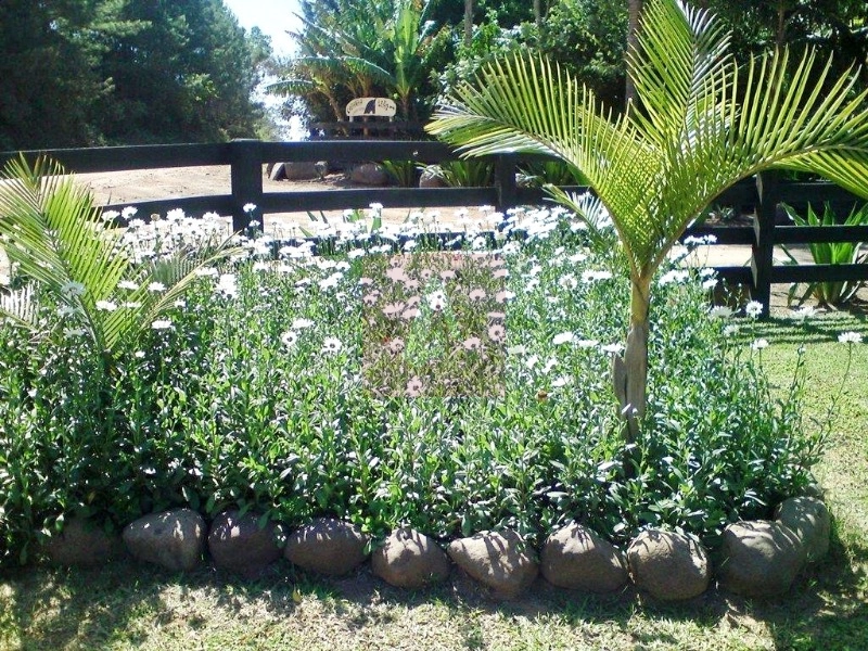 Propriedade Rural á venda em Sapiranga: 7ª foto da galeria de imagens do imóvel
