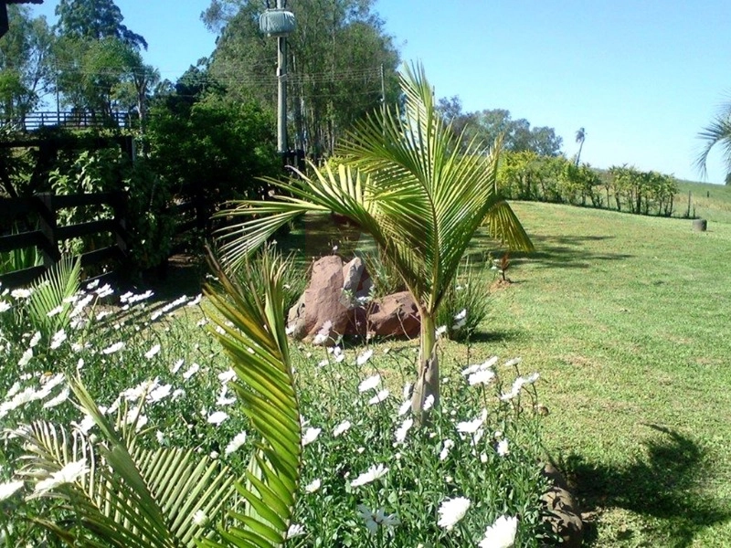 Propriedade Rural á venda em Sapiranga: 9ª foto da galeria de imagens do imóvel