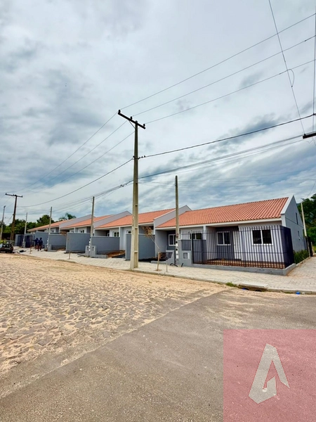 Geminados à venda em Sapiranga