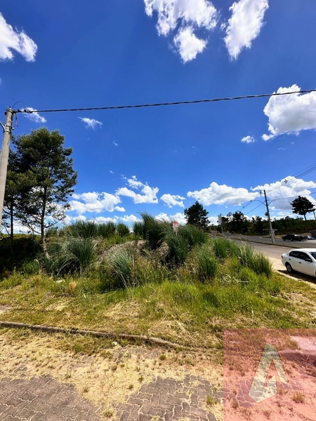 Terreno de esquina à venda em Araricá: 2ª foto da galeria de imagens do imóvel