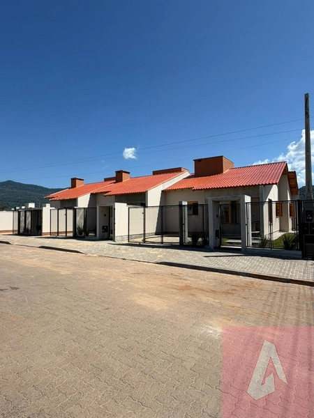 Geminados à venda em Araricá