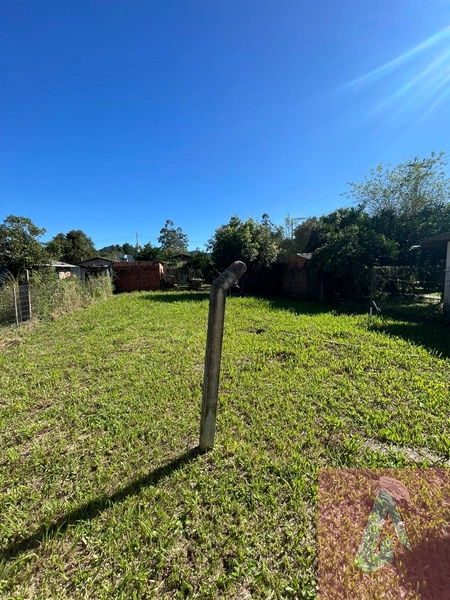 Sala Comercial / Residencial – Bairro Liberdade, Nova Hartz: 10ª foto da galeria de imagens do imóvel