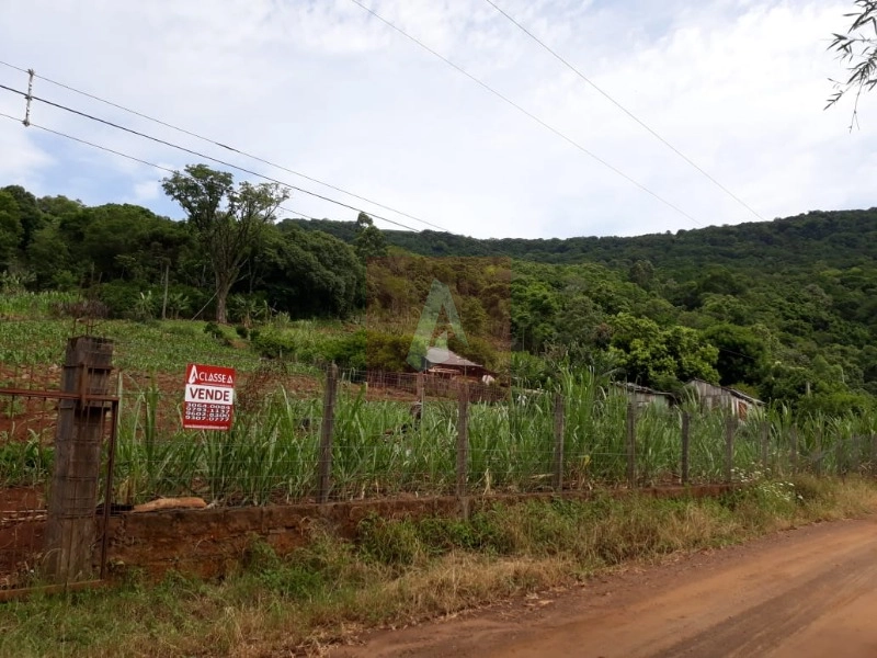 Chácara no Morro Ferrabraz: 4ª foto da galeria de imagens do imóvel