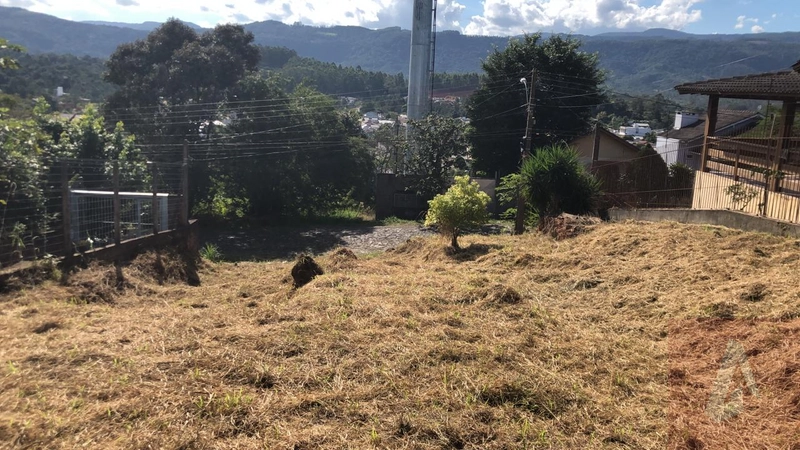 Excelente terreno: 2ª foto da galeria de imagens do imóvel