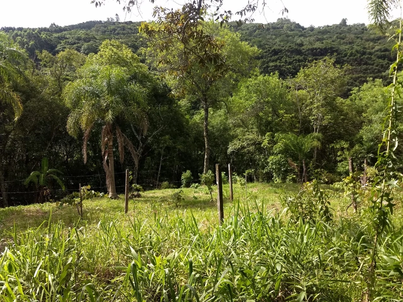 Área de terras na Picada São Jacó: 2ª foto da galeria de imagens do imóvel