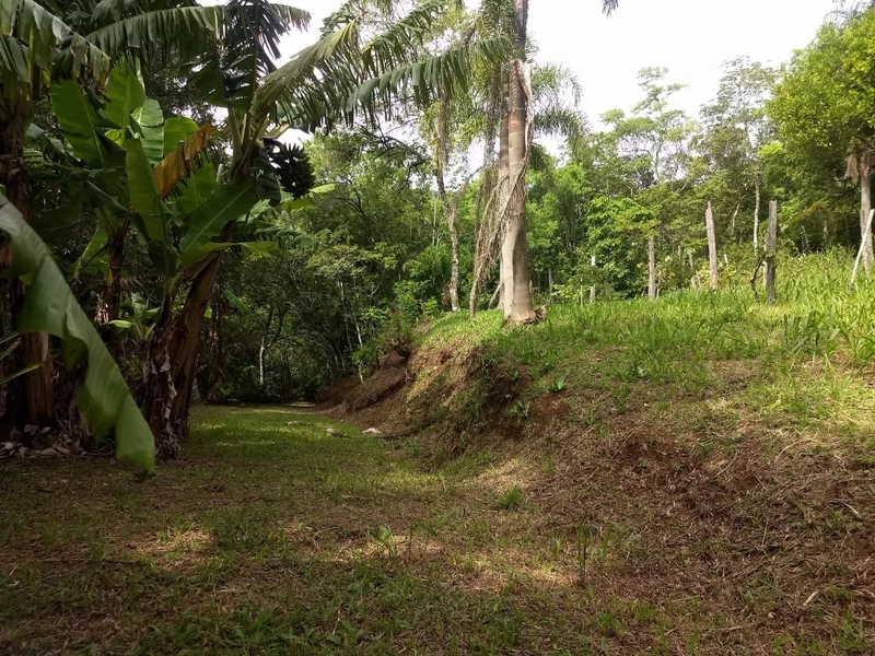 Área de terras na Picada São Jacó: 3ª foto da galeria de imagens do imóvel