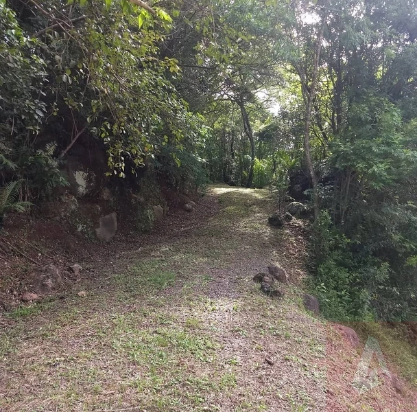 Área de terras na Picada São Jacó: 4ª foto da galeria de imagens do imóvel
