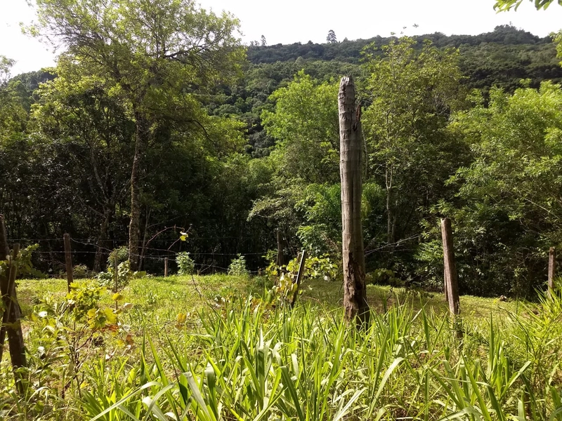 Área de terras na Picada São Jacó: 1ª foto da galeria de imagens do imóvel