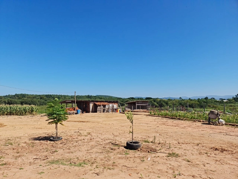 Propriedade rural!: 12ª foto da galeria de imagens do imóvel