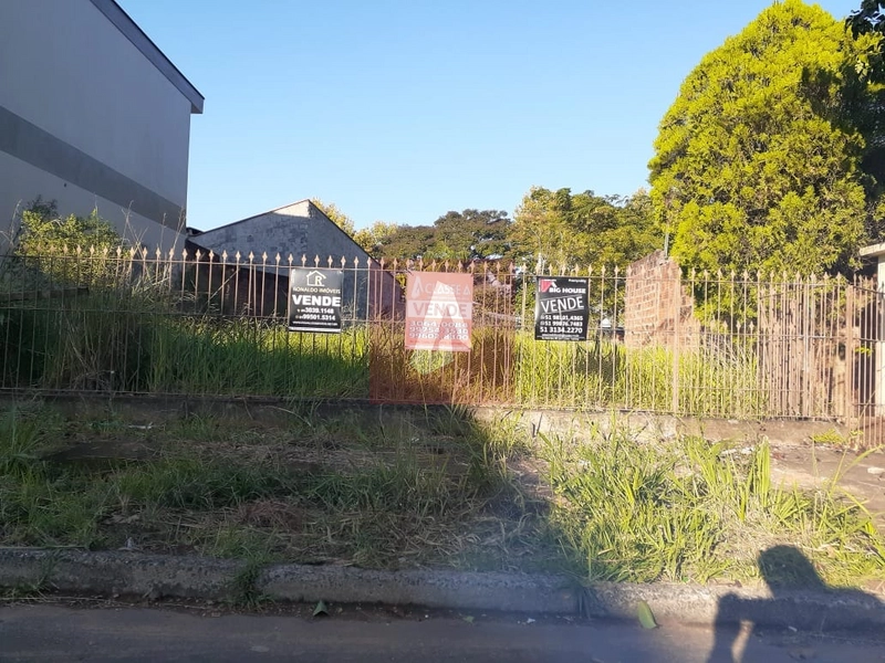 Terreno no bairro Centenário: 3ª foto da galeria de imagens do imóvel