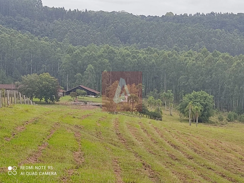 Chácara a venda com 27 hectares !!: 10ª foto da galeria de imagens do imóvel