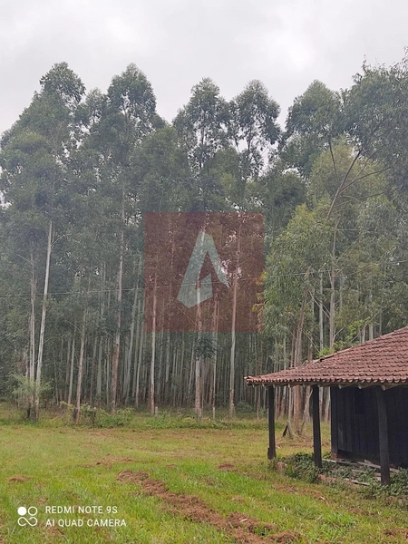Chácara a venda com 27 hectares !!: 8ª foto da galeria de imagens do imóvel