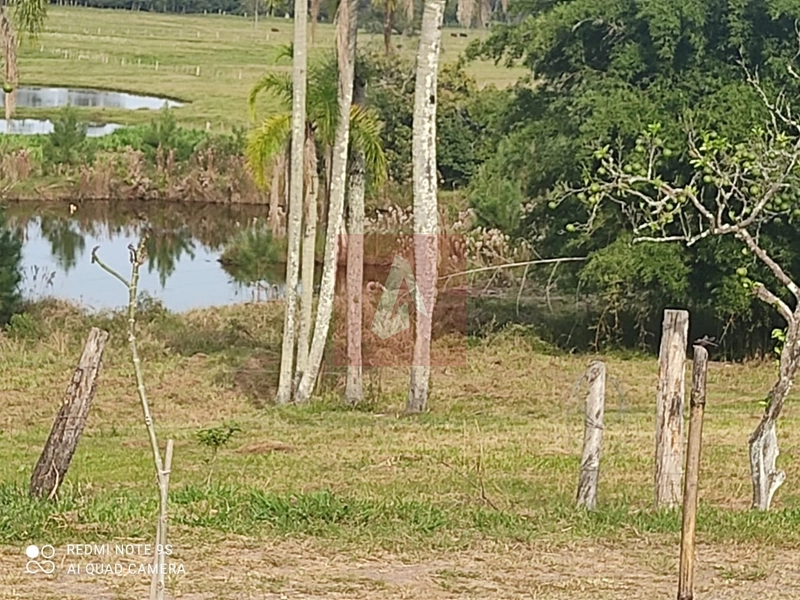 Chácara a venda com 27 hectares !!: 12ª foto da galeria de imagens do imóvel