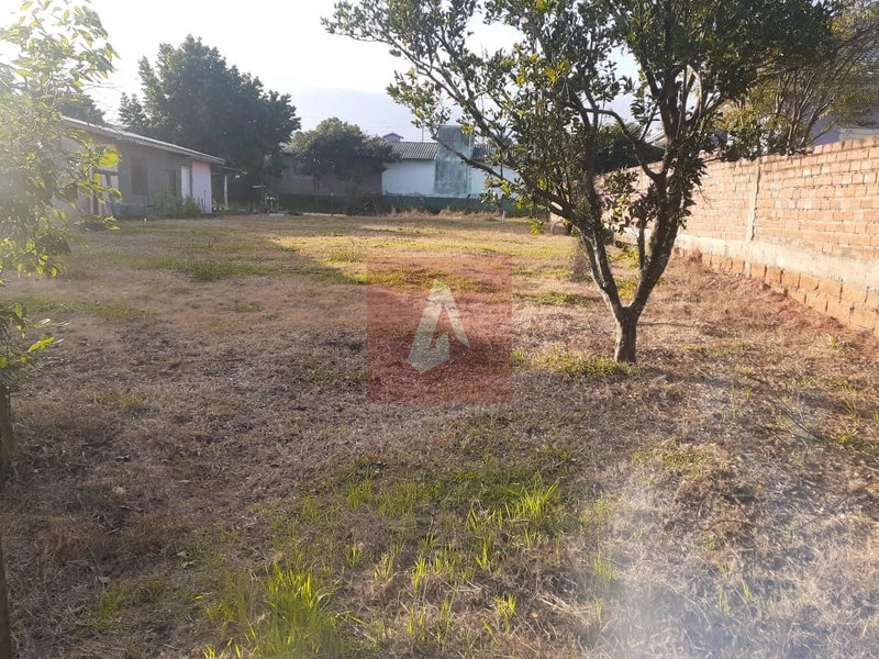 Terreno a venda !!: 3ª foto da galeria de imagens do imóvel