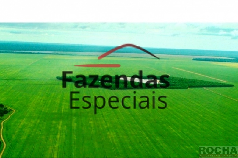 F A Z E N D A S MATO GROSSO