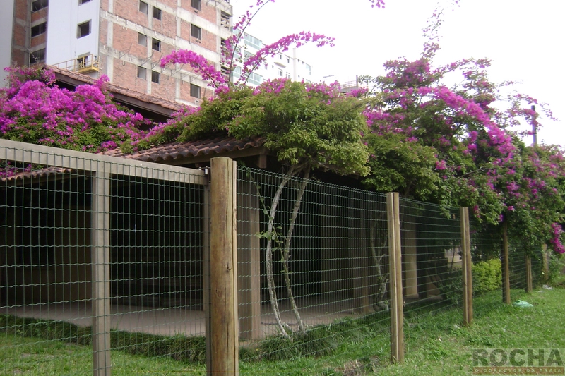 : 11ª foto da galeria de imagens do imóvel